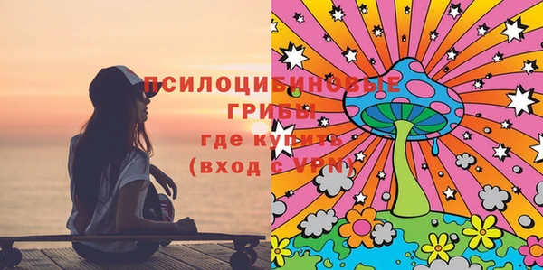 СК Билибино