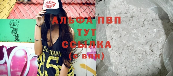 СК Билибино