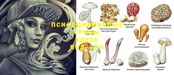 СК Билибино