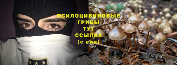 синтетический гашиш Бикин
